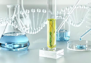 石家莊市偉峰科技有限公司